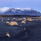 Islandská pustina